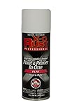 General Paint & Manufacturing XOP-30 X-O Rust Professional Rust Preventative Paint and Primer in One