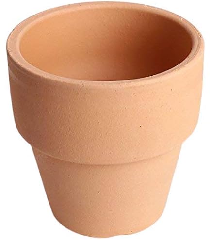 Amazon.co.jp: 斑入りソテツ 4号素焼鉢 : DIY・工具・ガーデン
