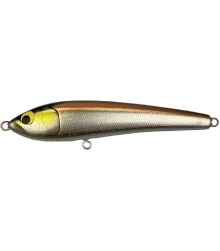 Amazon.co.jp: WooDream ウッドリーム ルアー Akiya POPPER アキヤ