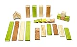 24 Piece Tegu Magnetic Wooden Block Set Jungle [並行輸入品]