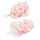 大地農園 プリザーブドフラワー カシワバアジサイ(2輪入り) ホワイトピンク DO01075-103