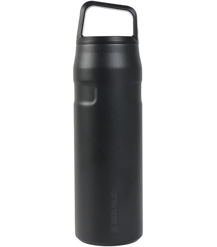 Amazon.co.jp: STANLEY(スタンレー) マスター真空マグ 0.53L マット