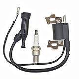 leihuo イグニッションコイル+スパークプラグ 適用 168F GX110 GX120 GX140 GX160 GX200 5.5HP 6.5HPエンジンモーター点火コイル