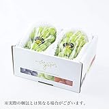 シャインマスカット 晴王 岡山県産 JAおかやま 赤秀 500gx2房