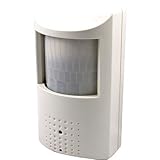 1/3" Sony CCD 620TVL Day/Night PIR Fake Motion Detector Camera 3.7mm Lens, 3yr warranty [並行輸入品]