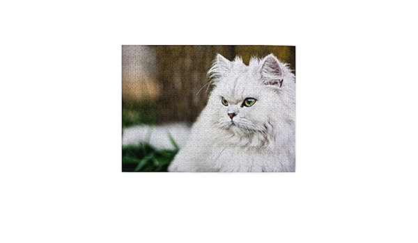 Amazon.co.jp: ジグソーパズル 木製パズル 可愛いペルシア猫 絵画 脳 