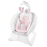 Fisher Price Sweet Surroundings Deluxe Bouncer Butterfly Friends by Fisher-Price