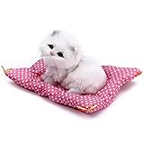サクララ（Sakulala）眠る子猫 かわいい 座布団 ぬいぐるみ 置物 ニャ～と鳴き 超 リアル 赤ちゃん おやすみ おもちゃ にゃんこ
