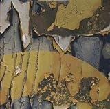 �G���N�g���b�N�E�{�[�����[��[�W���p�j�[�Y�E�G�f�B�V����]