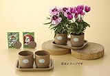 エコガーデニングセット#55 【まとめ買い10個セット】 460-9