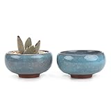 T4U 6.5CM 陶器ミ二植木鉢 氷裂紫砂シリーズ 多肉植物 サボテン鉢 フラワーポット プランター容器 アイスブルー 2個入り