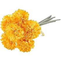 マリーゴールド様用°・*:.。.☆ マリーゴールド ホワイトゴールド ミニ 3.5寸ポット | 鉢花