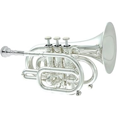 【美品】ミニトランペット ZO PC-10 プラスチックピッコロトランペット ダークブルー