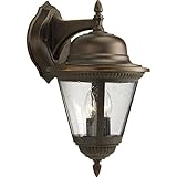 Progress Lighting P5864-20 2-Light Wall Lantern, Antique Bronze [並行輸入品]