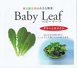 【種子】ベビーリーフ・グリーンロメイン 1dl