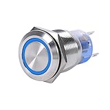 押しボタンスイッチ 押しボタン 切り替え押しボタン ブルー LED ステンレススチール DC 12V 19mm 防水