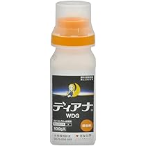 ハシモトテッパンL/M ＋すぴっとって　didon ハシモトテッパンL/M ＋すぴっとって didon Amazon | 山本電気