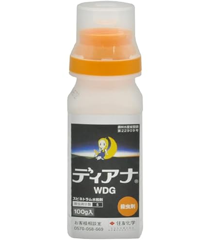 ハシモトテッパンL/M ＋すぴっとって　didon ハシモトテッパンL/M ＋すぴっとって didon ハシモトテッパンL/M