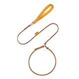 Aoccqkf犬の首輪リード 訓練用 スリップリード トレーニング 小型/中型/大型 引っ張り防止 お散歩 首輪 一体型 Pリード 頑丈 ダンパー 散歩用 イエロー+ブルー 1.2m (オレンジ,全長120cm 直径6mm)