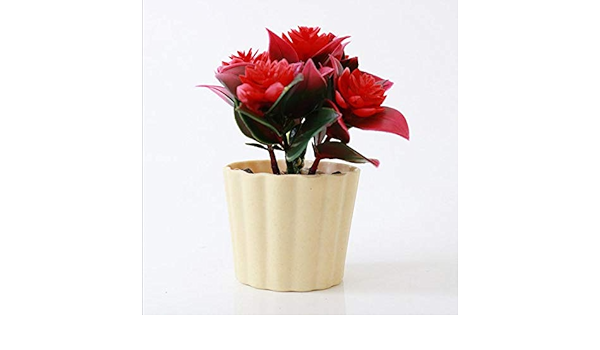 Amazon 人工鉢植え植物 ミニツリー プラスチック 卓上植物 鉢付き オフィス 家庭 デスク装飾用 レッド 人工観葉植物 オンライン通販