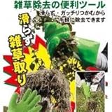 ファイン雑草取りグローブ ヌッキー スモールサイズ グリーン FIN-258SG