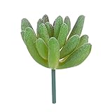 Bulary 造花　ミニ多肉植物　人工観葉植物　インテリア プレゼント 室内　タイプ7　グリーン