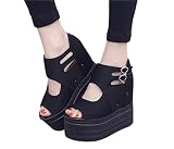 女子プラットホームシューズ　12cmヒール　美脚　滑り止め厚底 (37, B黒) [並行輸入品]