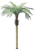 ヤシの木「フェニックスパームツリー」人工観葉植物 全長210cm・ポット/バーク付き