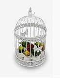WENZHE 花の鉢の棚の装飾的な鳥かごの花のフレーム白い結婚式の鳥かごの小道具マルチ - 肉フラワーバードケージアイアンオーナメント ( サイズ さいず : 25*43cm )
