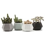 T4U 10CM 陶器ミニ植木鉢 スプライス六角形 マット表面 多肉植物 サボテン鉢 フラワーポット プランター容器 フルカラー 4個入り