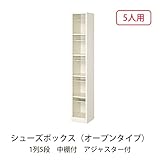 シューズボックス　BS-LL5H1(N) 井上金庫