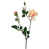 ローズスプレーX3(M) FXFR0009SAP