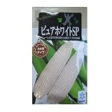 ピュアホワイトＳＰ 雪印種苗のホワイトトウモロコシ品種です。
