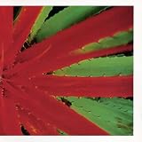This Afternoon Malady (2LP) (Ltd) [Analog]