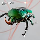 Fabric 95: Roman Flugel Fabric 95: Roman Flugel