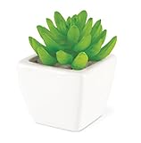 Kishima キシマ 【CT触媒】 サキュレント プランツ 消臭アーティフィシャルグリーン 多肉 AMZ69111 AMZ69111