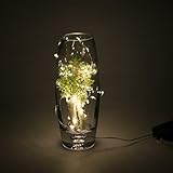 Aurora 10pcsブランド新しいMicro 20 LED超明るい暖かいホワイト色ワイヤロープライト電池式on 7 ftロングシルバーカラー超薄型文字列シルバーワイヤforホーム寝室パーティーツリ