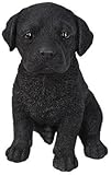 6.5" BLK Lab Puppy by Border Concepts [並行輸入品]