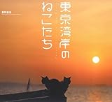 東京湾岸のねこたち