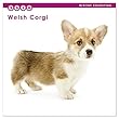 カレンダー 2019 ミニサイズ 壁掛け ウェルシュ・コーギー （ミニ） 403276 ノーマルレンズシリーズ 2018年11月―2019年12月 アーリスト イヌ いぬ Welsh Corgi