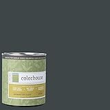 Inspired Semi-Gloss Interior Paint, Metal .06, Quart [並行輸入品]