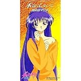 �_�[�e�B�y�AFLASH ���̓�