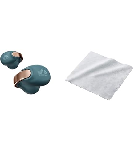 Amazon.co.jp: JVCケンウッド Victor HA-NP1T-T ワイヤレスイヤホン