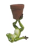【正規輸入品】 feeDECO 植木鉢 Animal Pot Cover [Frog Lift]