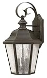 Hinkley 1676OZ-LED Outdoor Edgewater Light [並行輸入品]