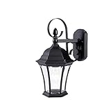 Acclaim 5423BK New Orleans Collection 1-Light Wall Mount Outdoor Light Fixture, Matte Black [並行輸入品]