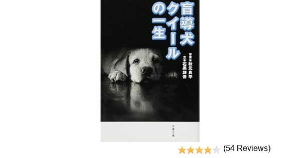 Ngantuoisoneo6 100 Epic Best 盲導犬 クイール の 一生 読書 感想 文