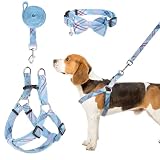 BINGPET 犬 ハーネス 首輪 リード セット 犬用ハーネス 胴輪 着脱簡単 メッシュ 通気性 耐久性 調節可能 調整可能 軽量 引っ張り防止 散歩 訓練 ベスト しつけ用 チェック柄 おしゃれ 可愛い 小型犬 中型犬 柴犬 犬用胴輪 （ブルー、M）