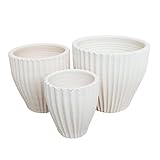 6、8、10号 縦スジ深 白化粧 バニラホワイト 植木鉢 3点セット おしゃれな テラコッタ 陶器 E36W