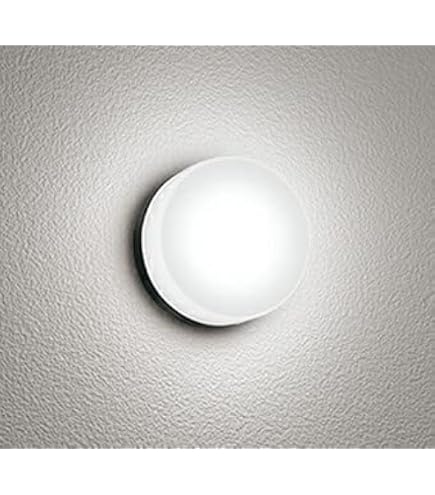 Amazon.co.jp: オーデリック フラットプレートエクステリア 【OG 254